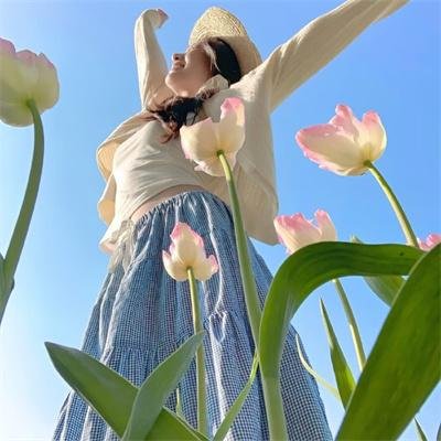 翻叮一族粤语